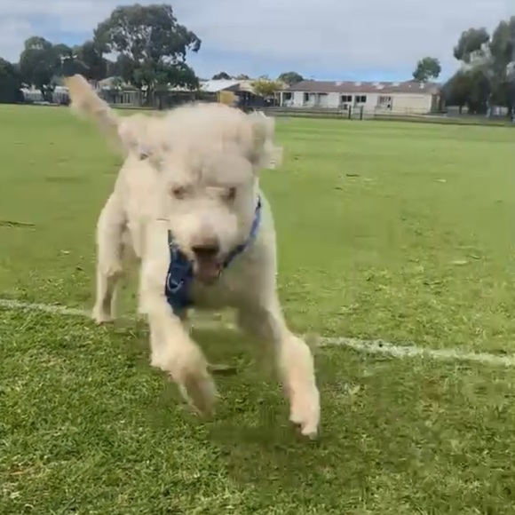 Meet your Posher, Summer - Picture 1 of 1